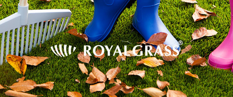 artificial grass maintenance