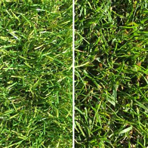 Kunstgras vs natuurgras