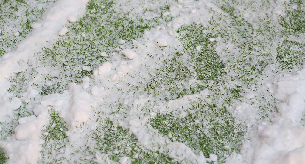 Artificial grass winter