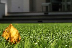 Maintenance artificial grass