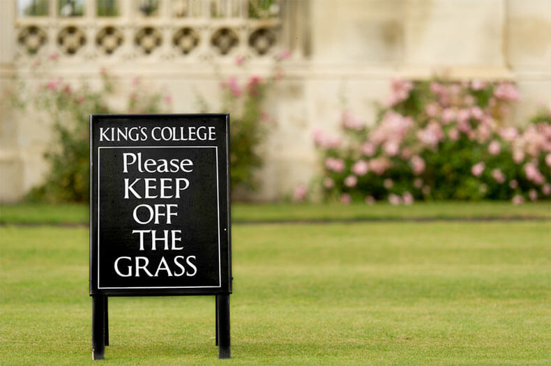 Kings College London Grass Lawn