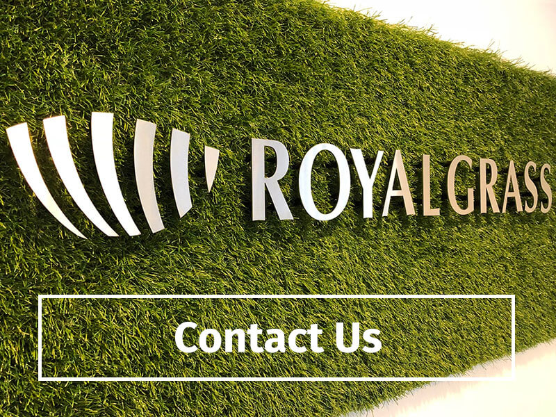 contact royal grass