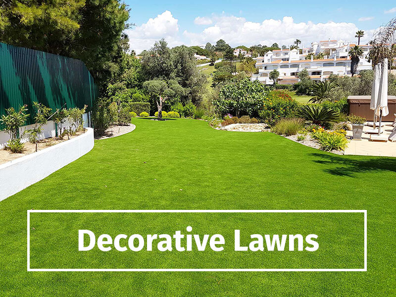 decorative lawns
