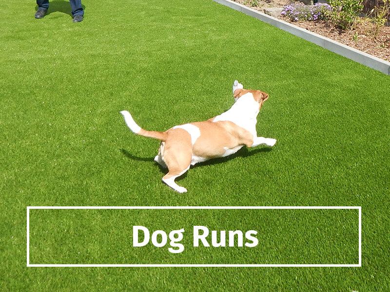 dog-runs