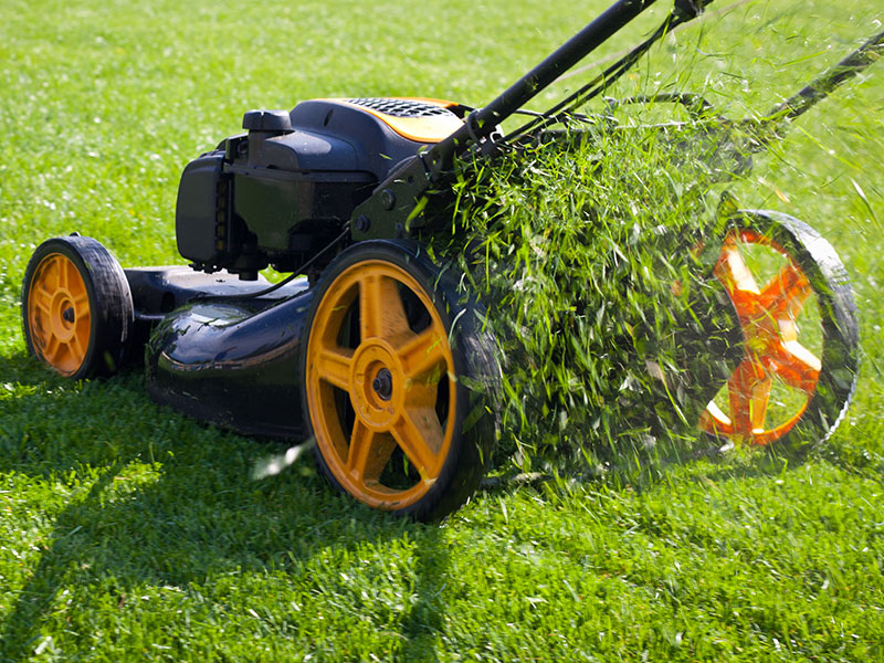 no-mowing