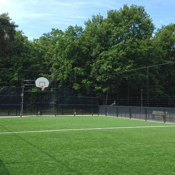 Artificial grass pitch (AGP)