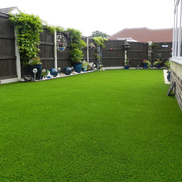 garden lawn