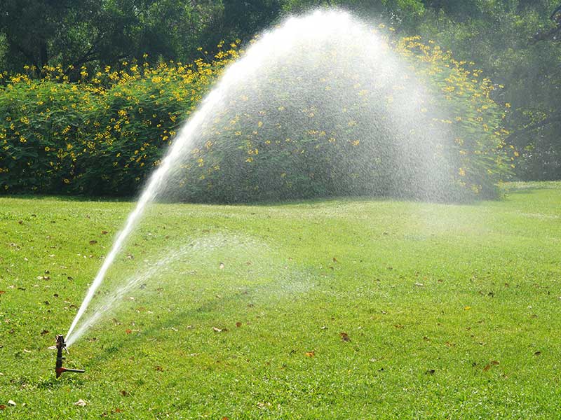 save watering the lawn